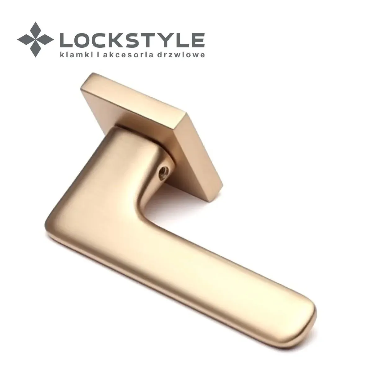 Ручка дверная Lockstyle Nix ZN