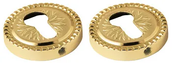 Armadillo ET CL55  GOLD-24 золото