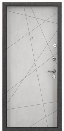 Дверь металлическая  Модель STYLE 201.5