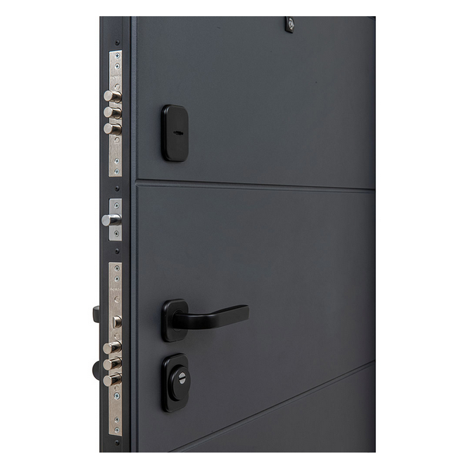 Дверь металлическая  Модель STYLE 501