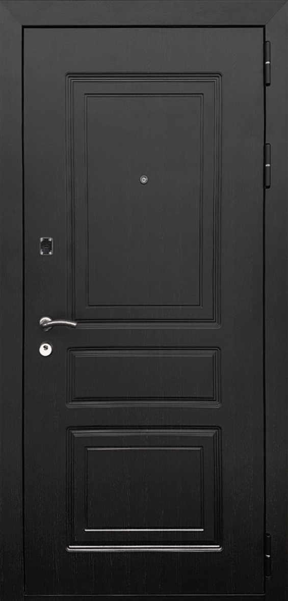 Дверь металлическая  Модель STYLE 501.3
