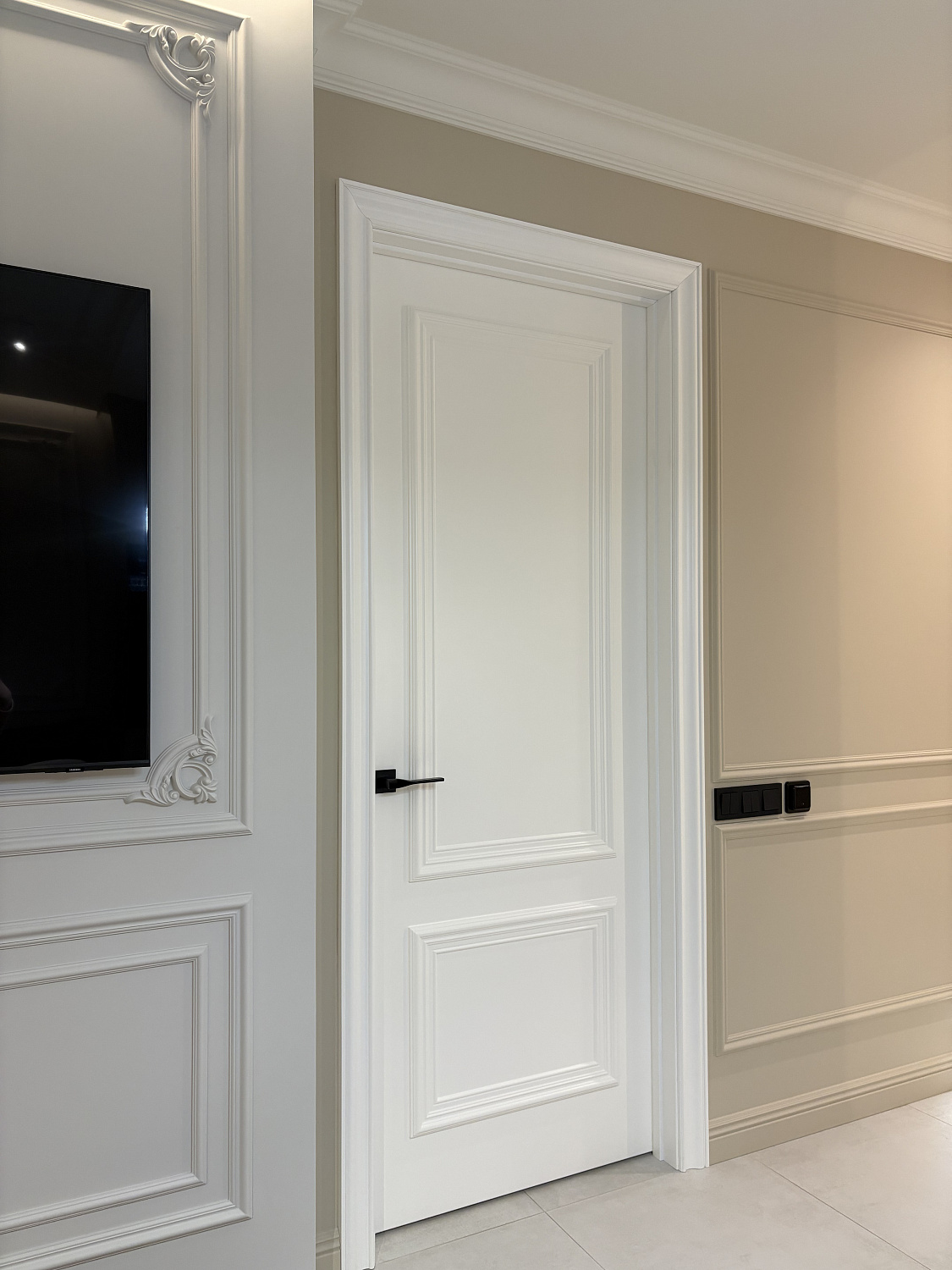 Двери в эмали: плюсы и минусы